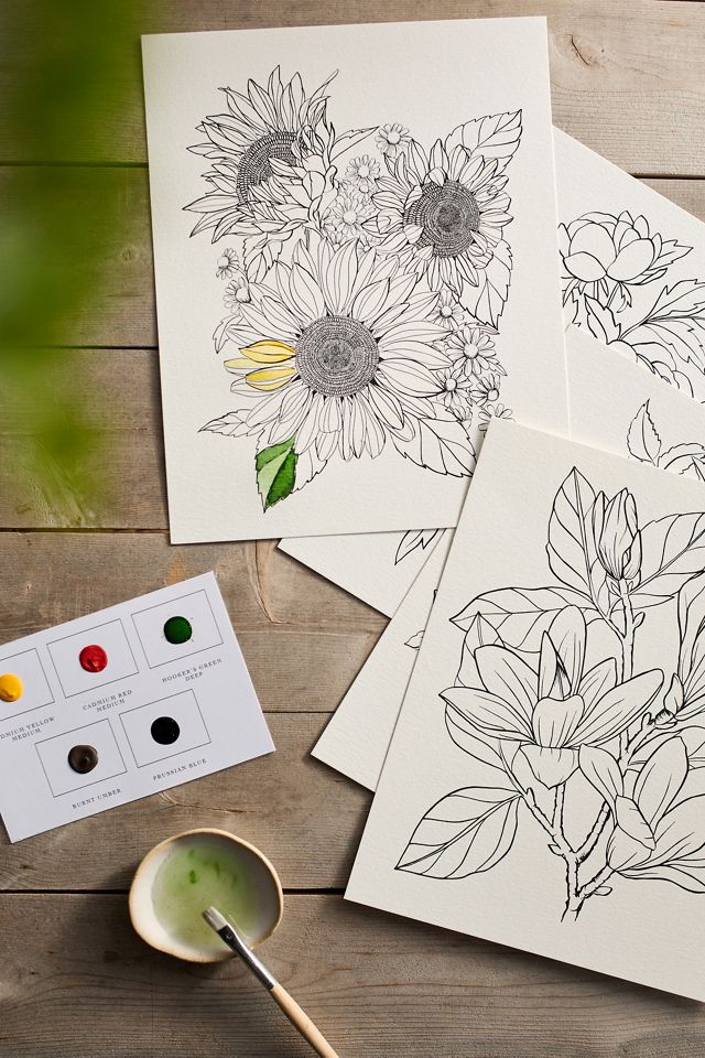 Garden Watercoloring Kit