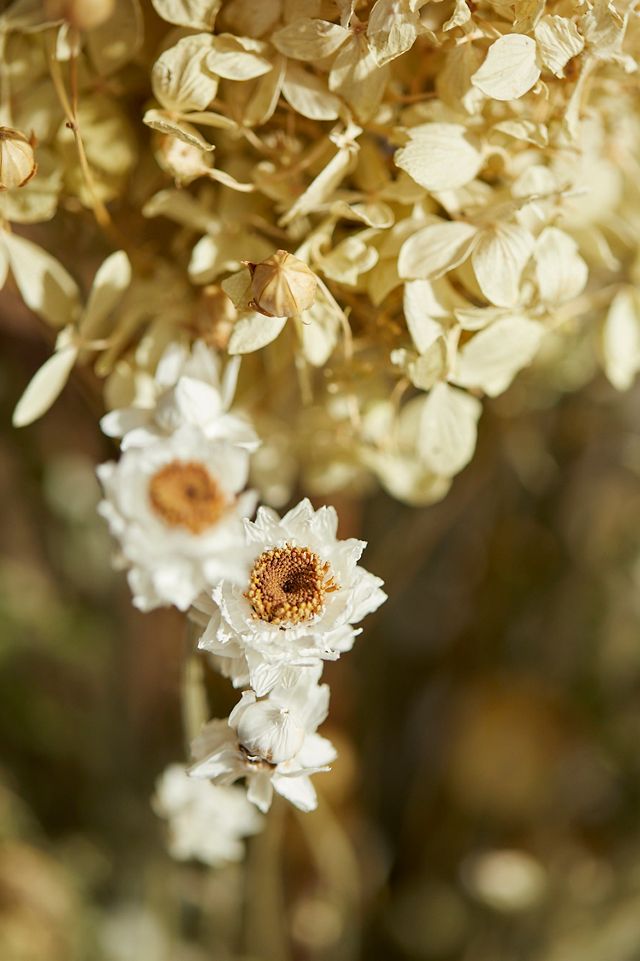 Preserved Wildflower Bouquet #1