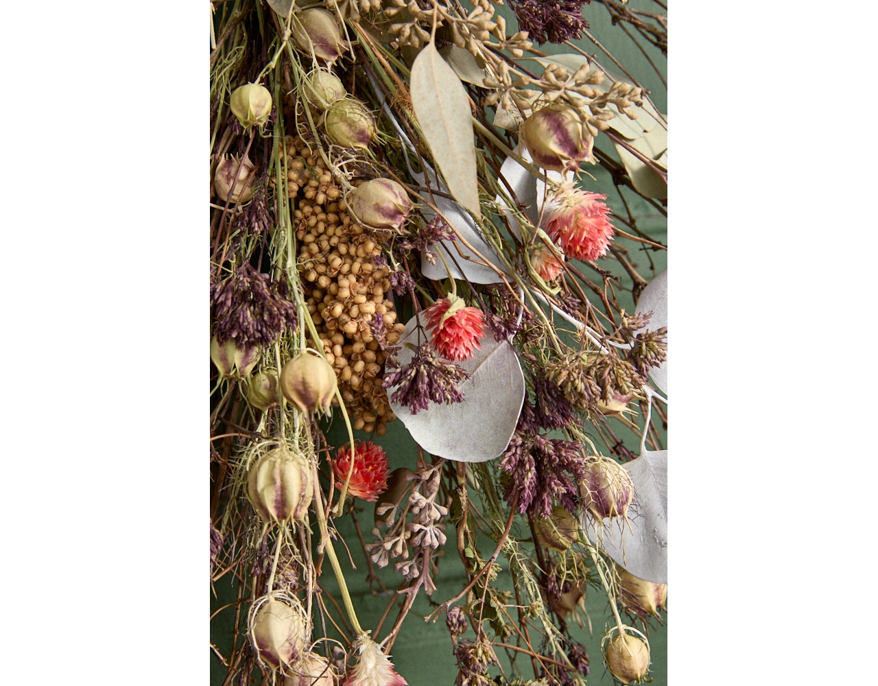 Preserved Wild Jubilee Wreath