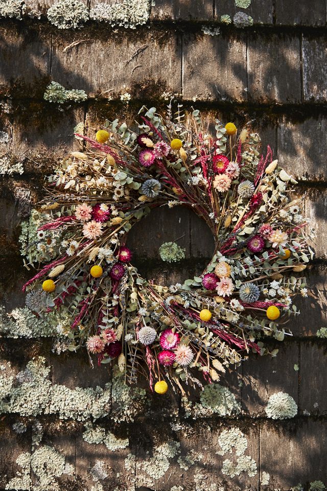 Preserved Pixie Garden Wreath #3