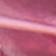 Pink Botanico