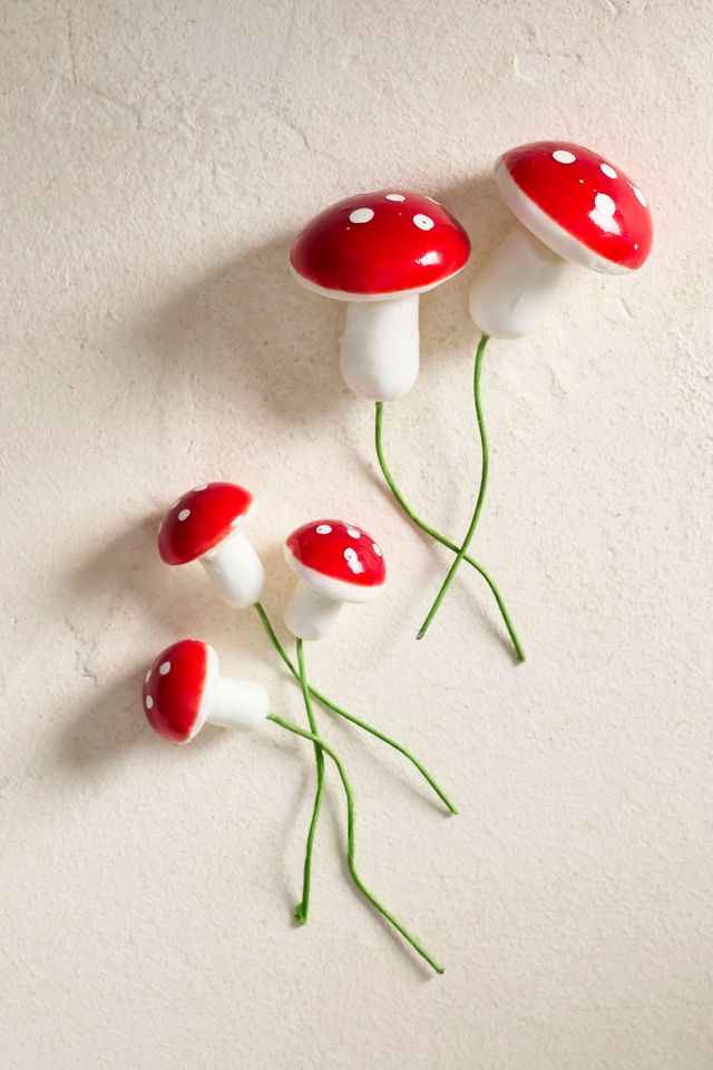 Mushroom Stakes #1