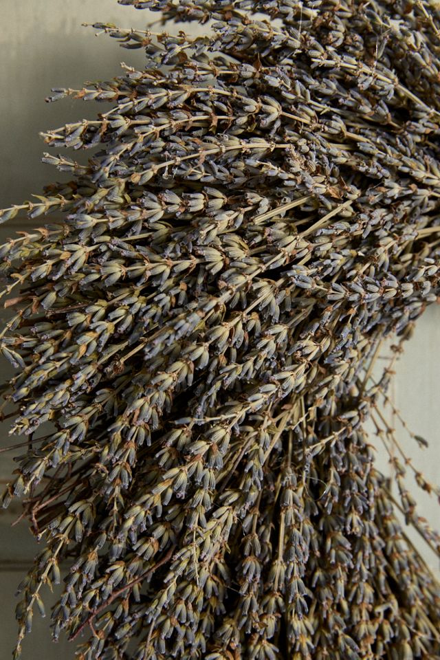 Preserved English Lavender Heart Wreath #1