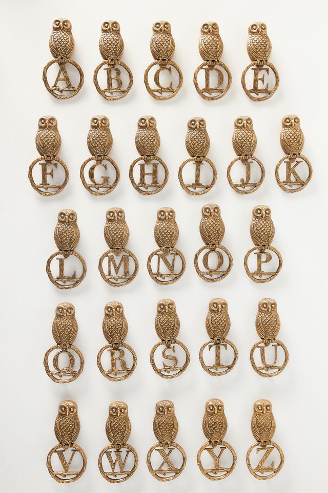 (S) Owl Monogram Door Knocker