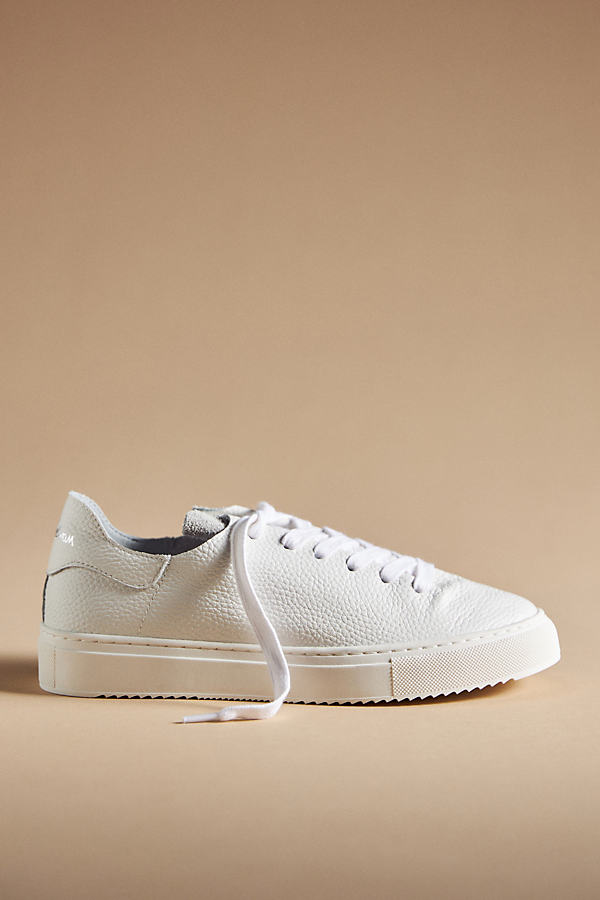 Sam Edelman Poppy Sneakers In White