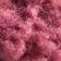 BERRY CRUSH