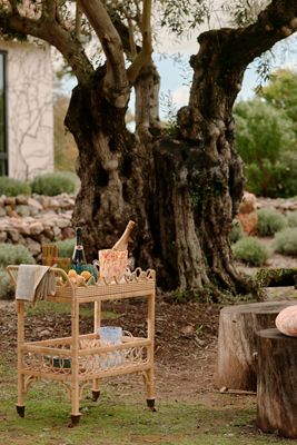 Luci Rattan Bar Cart