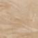 Light Sand