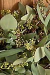 Fresh Tri-Eucalyptus Wreath #1