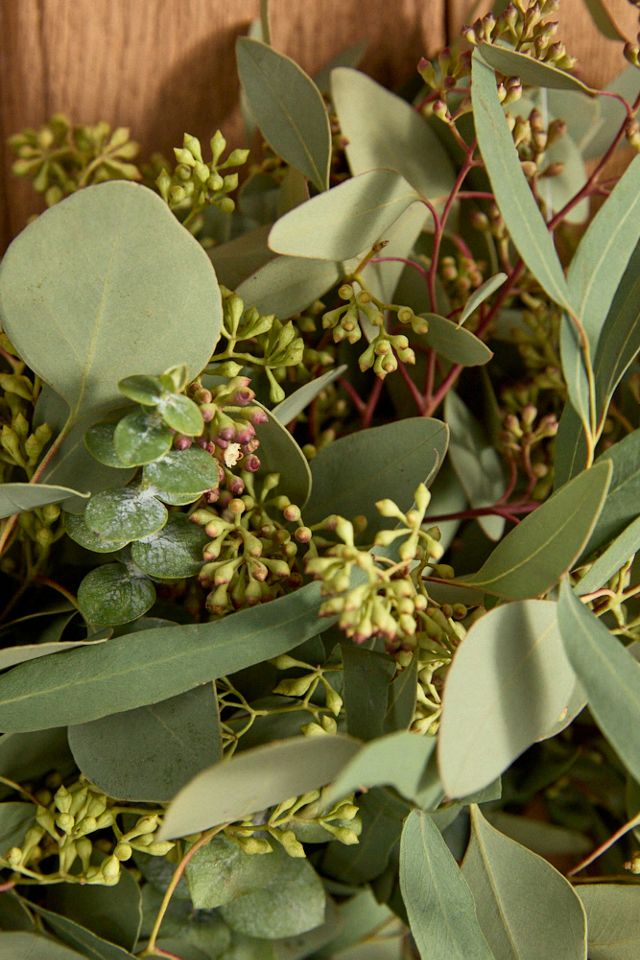 Fresh Tri-Eucalyptus Wreath #1