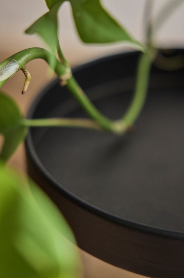 5-Tier Pedestal Iron Plant Stand #1
