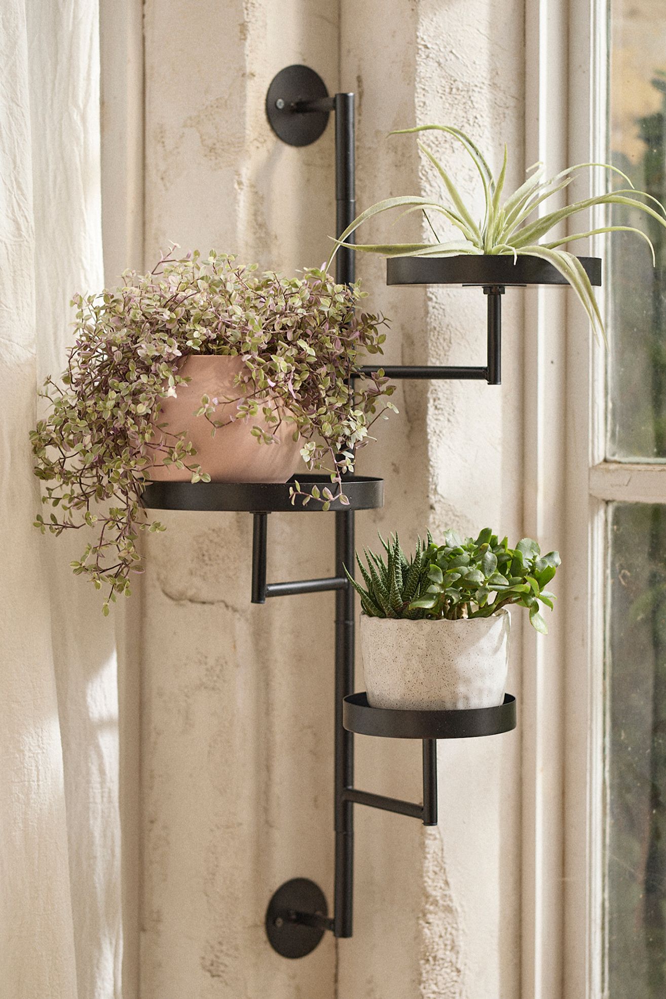 Wall Mounted Iron Plant Stand - Black, One Size