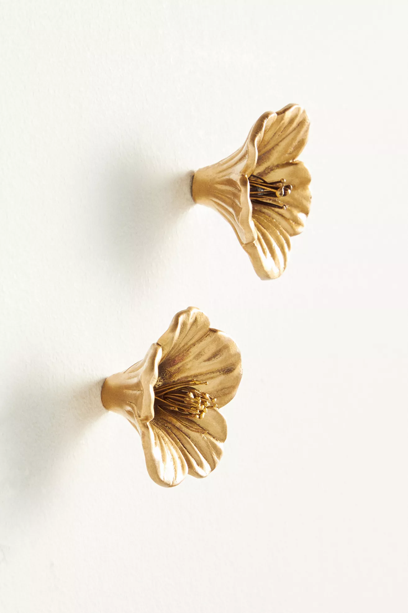 Hibiscus Knobs, Set of 2 - thumbnail 5