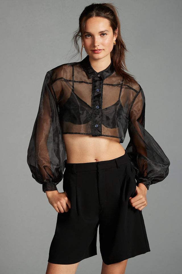 Sheer cheap crop shirt