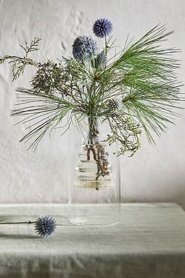 Terrain Evergreen Glass Bud Vase In Transparent