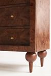 Fern Storage Cabinet | Anthropologie
