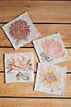 Coral & Tusk Paradise Flowers Cocktail Napkins, Set of 4 #1