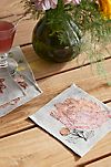 Coral & Tusk Paradise Flowers Cocktail Napkins, Set of 4
