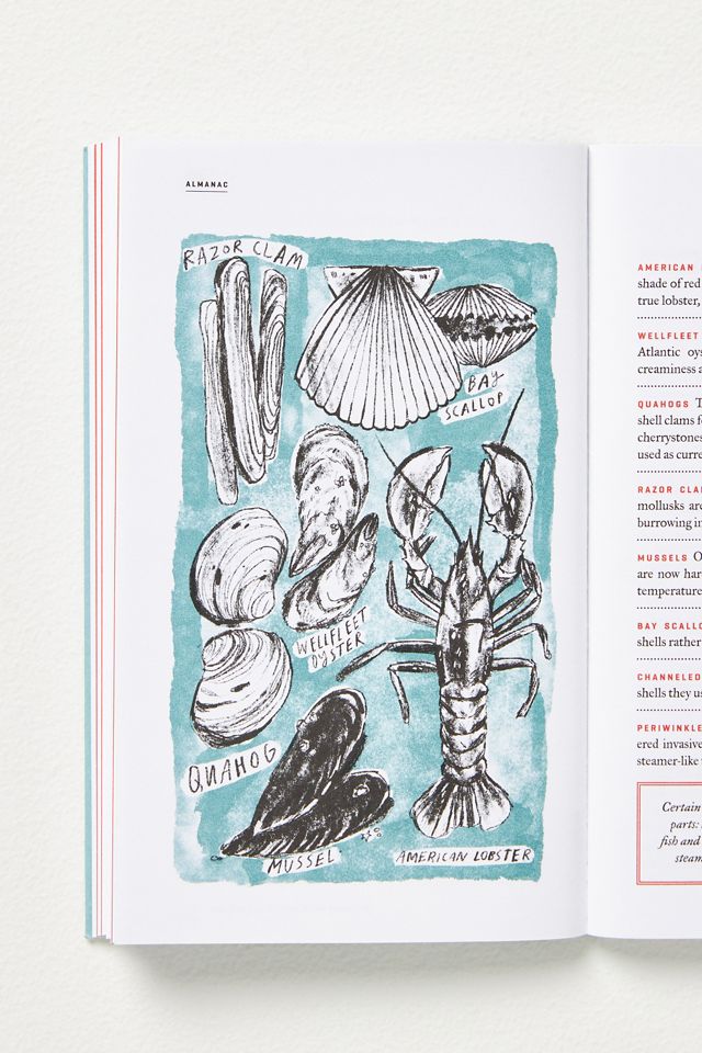 Wildsam Field Guide: Pursuits #2