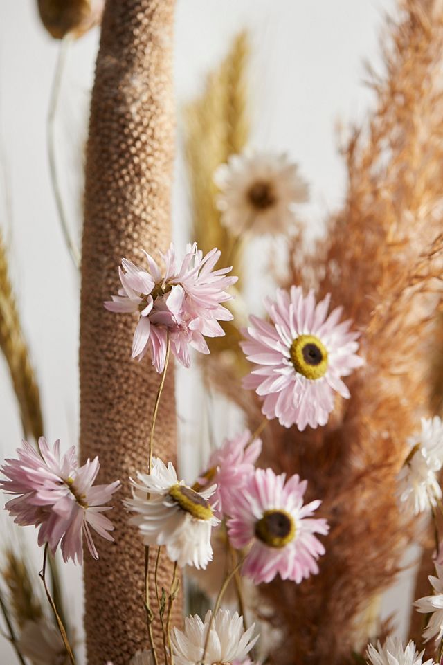 Morning Meadow Dried Bouquet #1