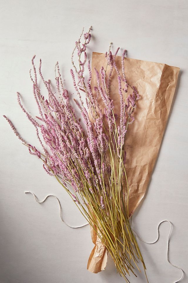 Dried Statice Bunch #1