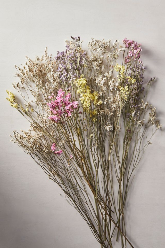 Dried Pastel Limonium Bunch #2