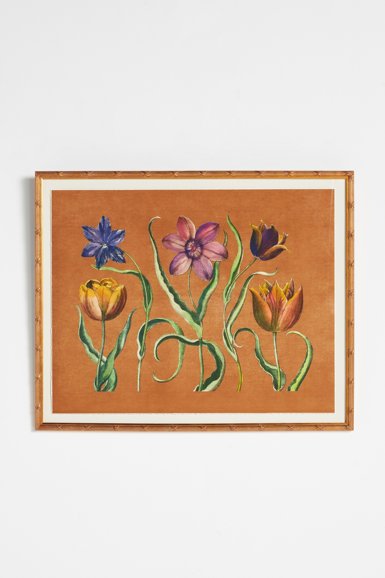 Annual Blooms Wall Art