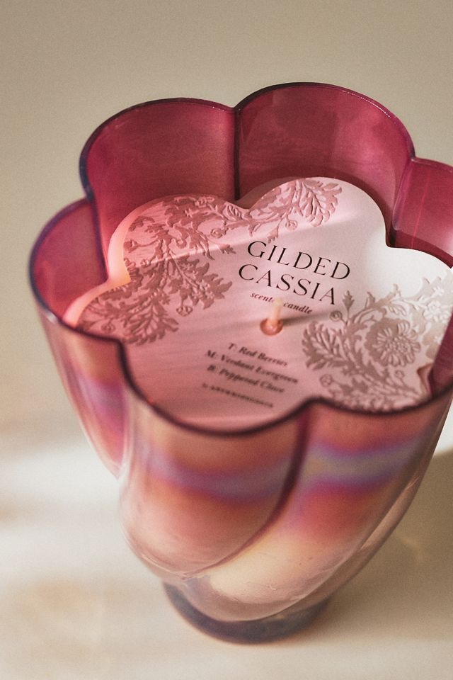 Tulip Spice Gilded Cassia Glass Candle #2