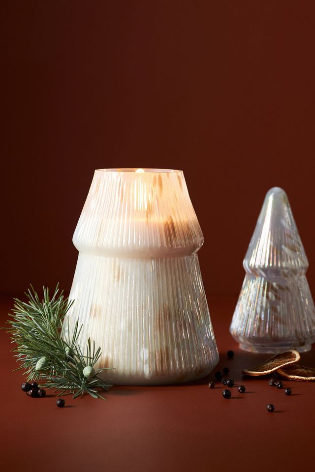 Hallorm Fresh Sparkling Citrus & Juniper Glass Tree Candle
