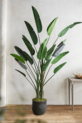 Terrain Faux Bird Of Paradise, 7'