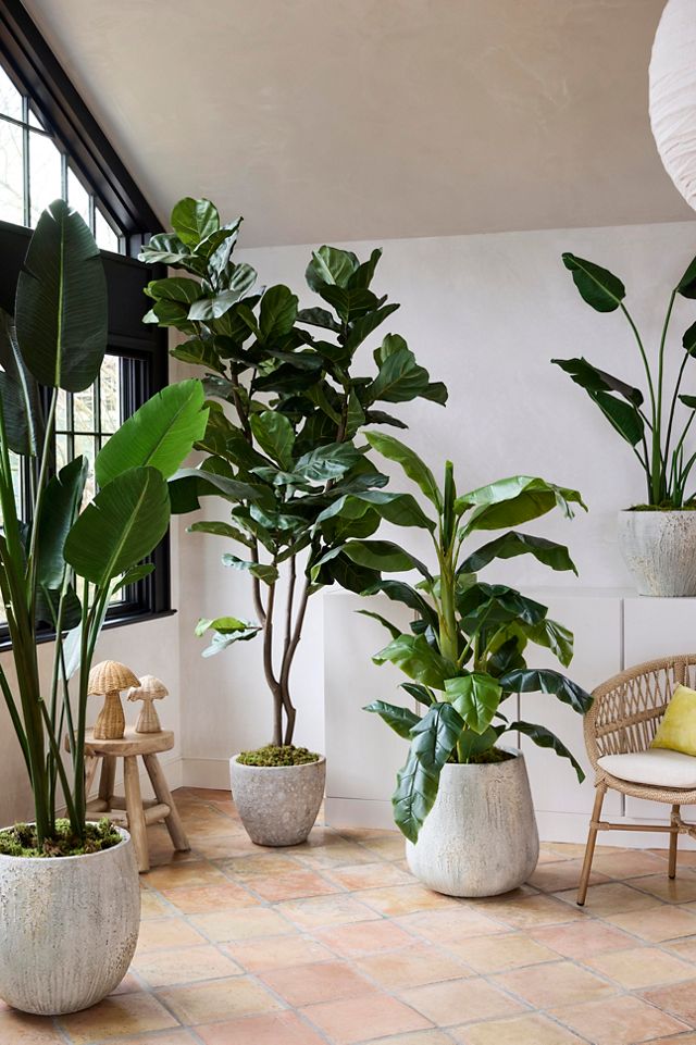 Faux Bird of Paradise, 7' #3