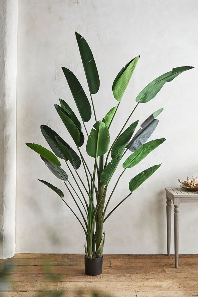 Faux Bird of Paradise, 7' #1