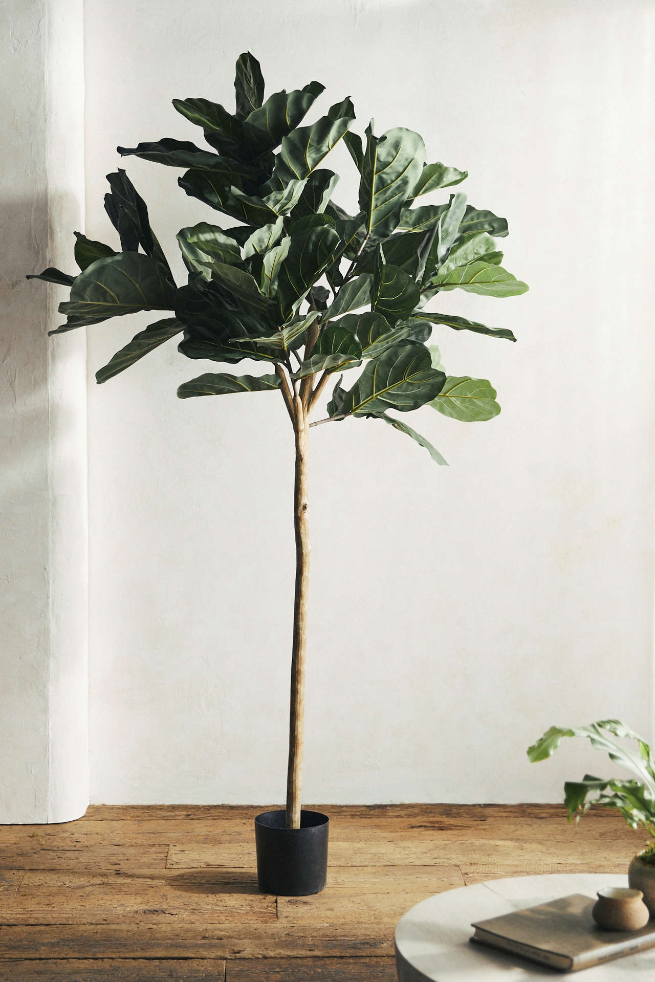 Faux Fiddle Leaf Fig