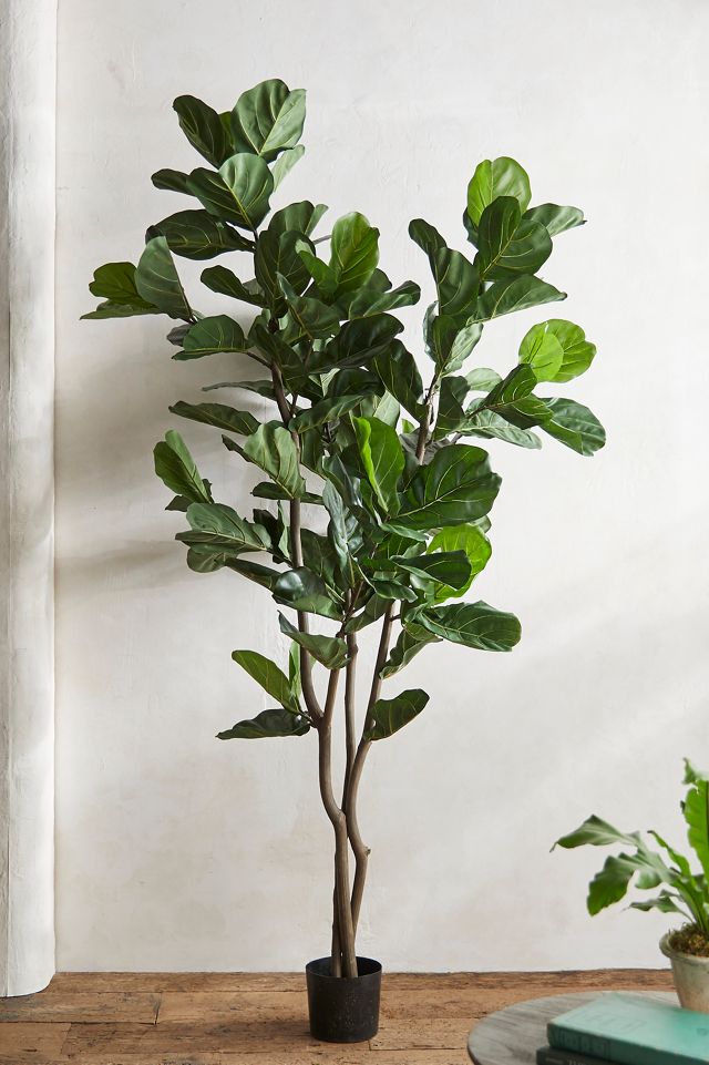 monstera plant stand Mini Monstera – Kelly's Kollections main image 1