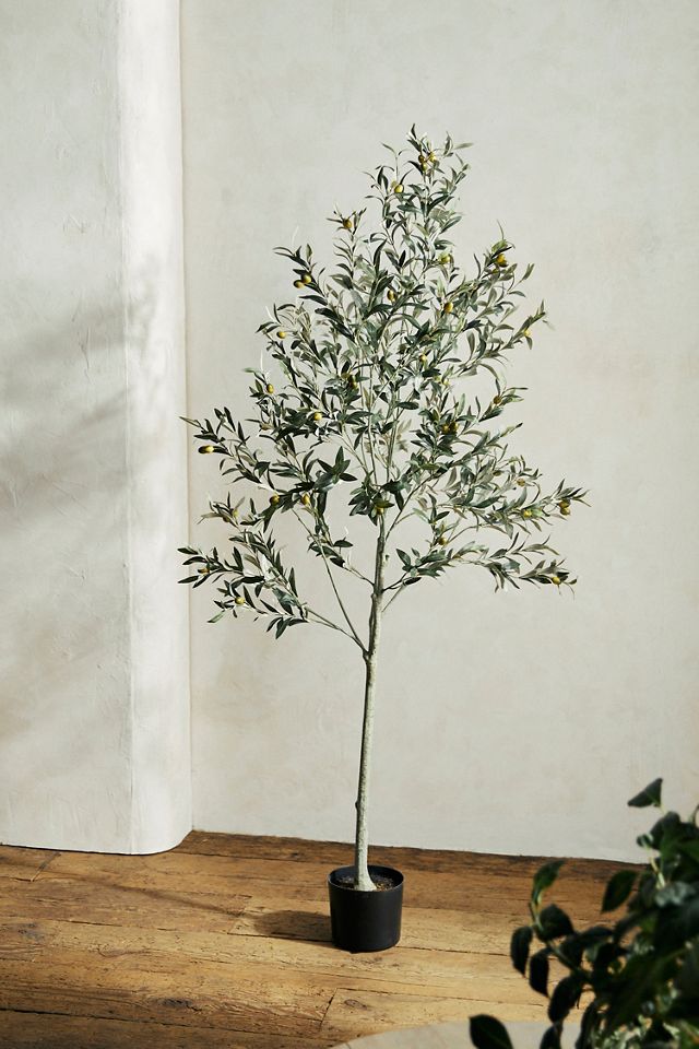 Faux Olive Tree, 6' #1