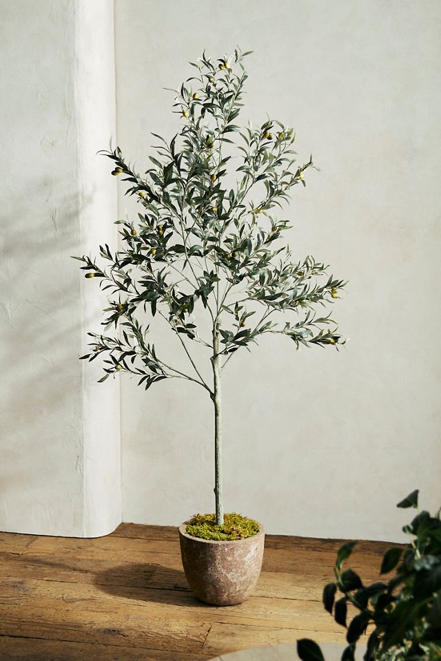 Lark Manor Faux Olive Tree Plant in Pot & Reviews