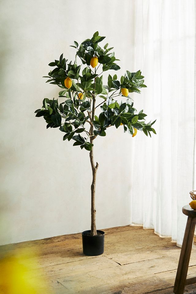 Faux Lemon Tree, 5.5' #1