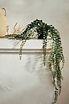 Faux Hanging Button Fern #1