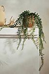 Faux Hanging Button Fern