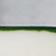 Cream + Green Trim