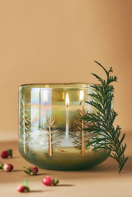 Gilded Evergreen Fresh Balsam & Cedarwood Woody Glass Candle