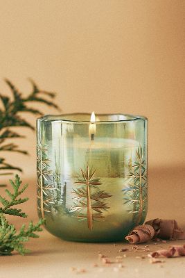 Gilded Evergreen Fresh Balsam & Cedarwood Woody Glass Candle