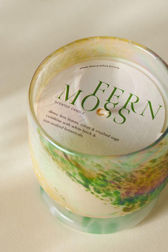Laney Fresh Fern Moss Fresh Cheena Glass Candle #1