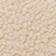 Sandshell