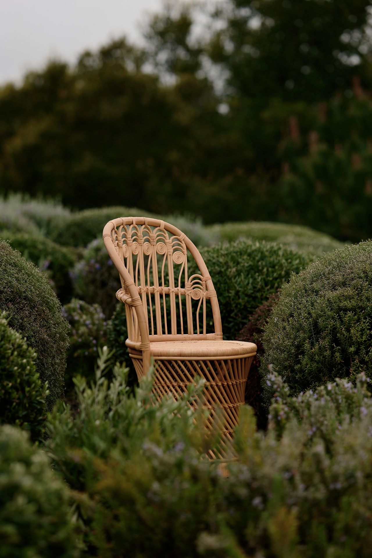 Peacock Rattan Dining Chairs, Set of 2