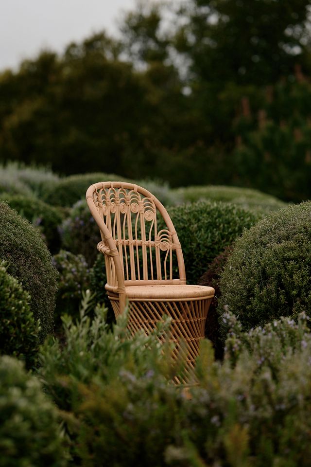 Peacock Rattan Dining Chairs, Set of 2 #5
