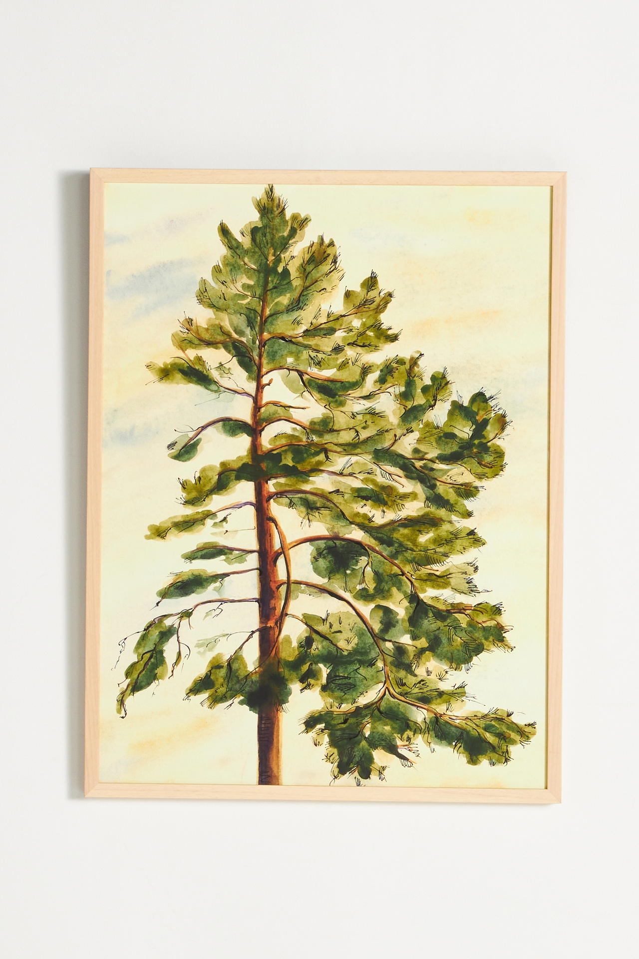 Lyubov Fonareva for Artfully Walls Pine Wall Art