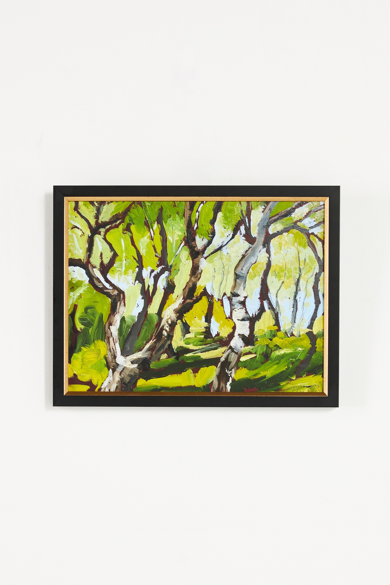 Silver Poplars Wall Art