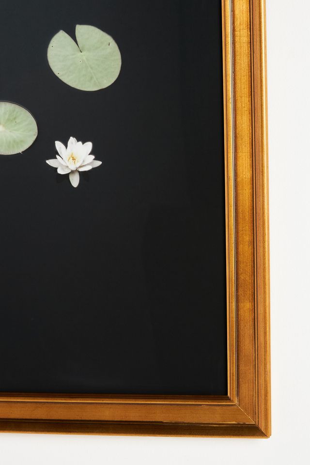 Lilies Wall Art #1
