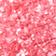 CORAIL